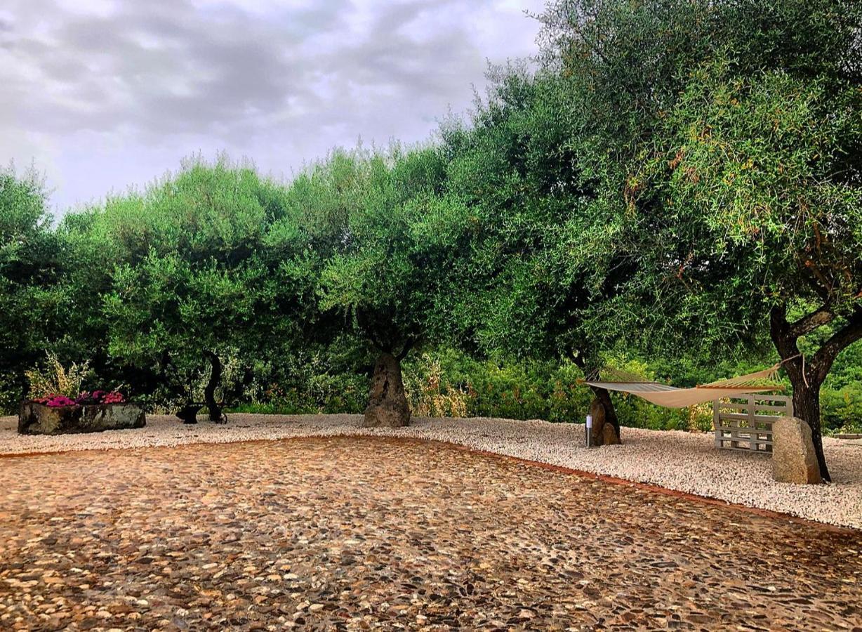 B&B Casa Vacanza Centro Sardegna Sorgono Esterno foto