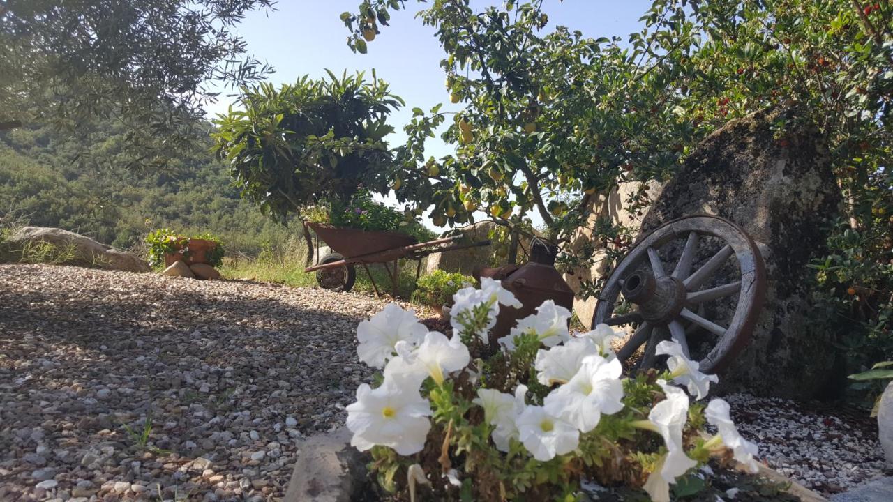 B&B Casa Vacanza Centro Sardegna Sorgono Esterno foto