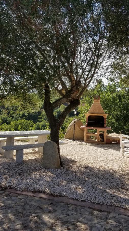 B&B Casa Vacanza Centro Sardegna Sorgono Esterno foto