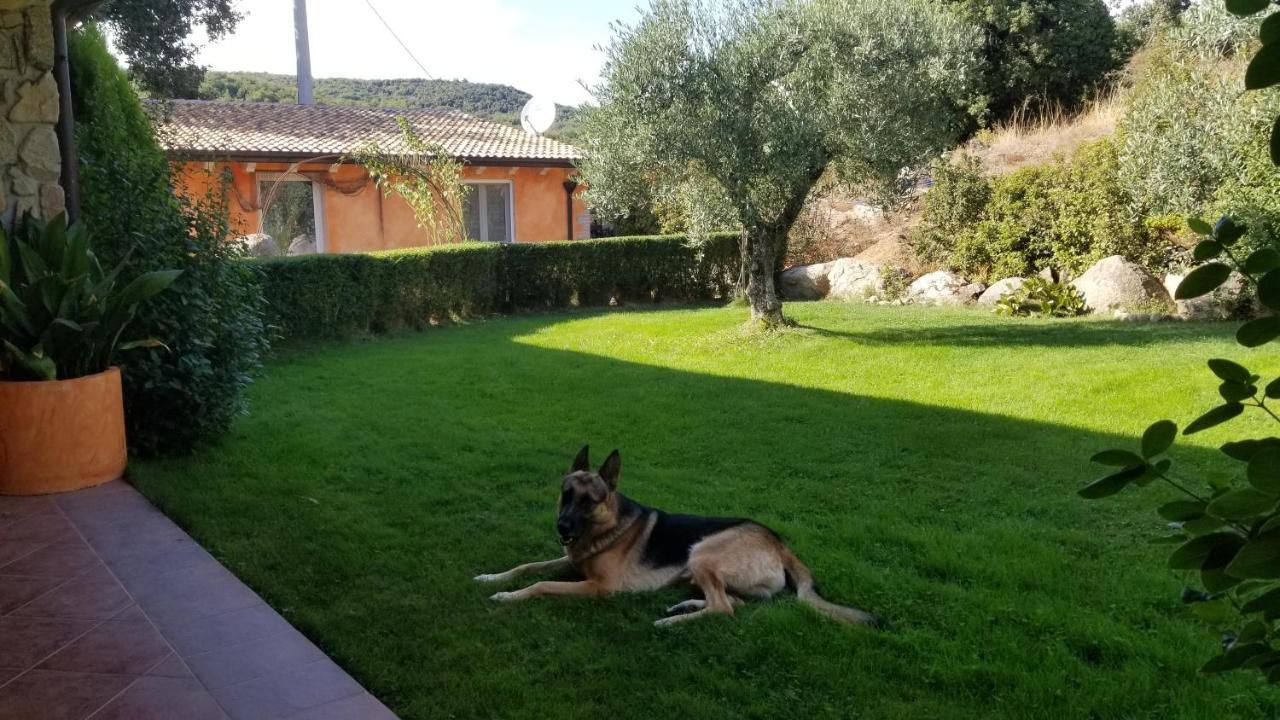 B&B Casa Vacanza Centro Sardegna Sorgono Esterno foto